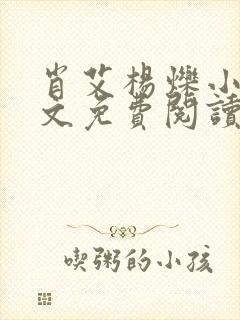 肖艾杨烁小说全文免费阅读笔趣阁