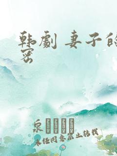 韩剧 妻子的秘密