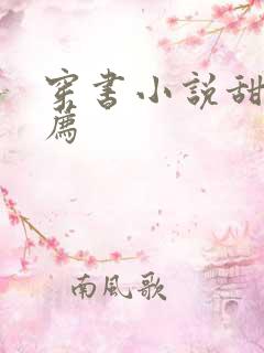 穿书小说甜文推荐