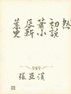 叶辰萧初然最快更新小说