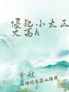 侵犯小太正肉车文高h