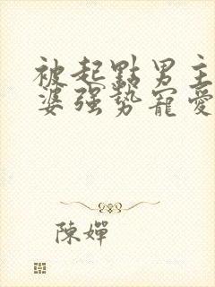 被起点男主的老婆强势宠爱的小说