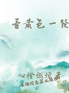 看黄色一发级片