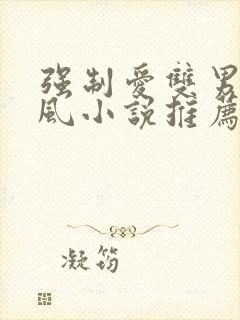 强制爱双男主古风小说推荐