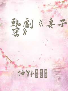 韩剧《妻子的秘密》