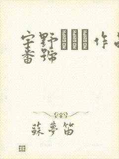 宇野みりい作品番号