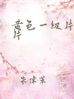 黄色一级片国产片