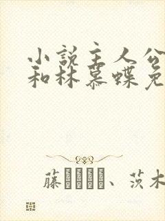 小说主人公周平和林慕蝶免费阅读