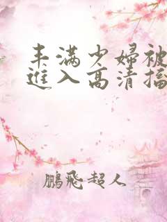 丰满少妇被猛烈进入高清搐