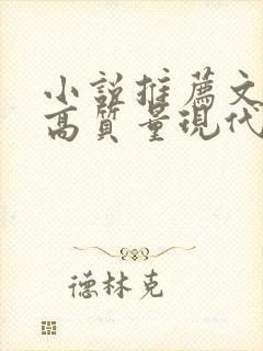 小说推荐文笔好高质量现代言情