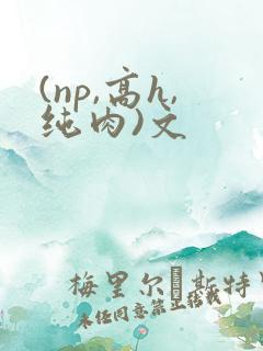 (np,高h,纯肉)文