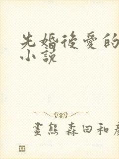 先婚后爱的甜宠小说