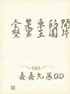 全是车的开车的双男主图片