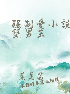 强制爱小说推荐双男主