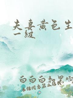 夫妻黄色生活片一级