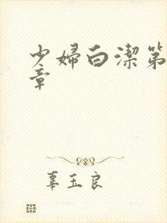 少妇白洁第三十章