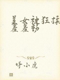 美女被狂揉下部羞羞动