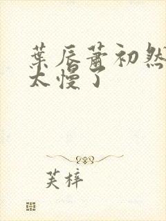 叶辰萧初然更新太慢了