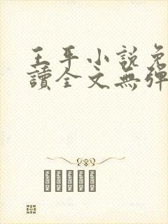 王平小说免费阅读全文无弹窗