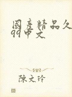 国产精品久久久99中文