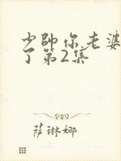 少帅你老婆又跑了第2集