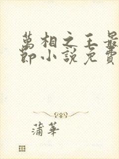 万相之王最新章节小说免费阅读