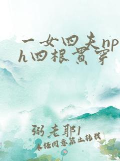 一女四夫np高h四根贯穿