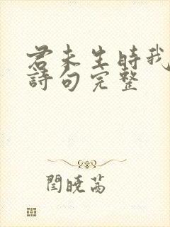 君未生时我已生诗句完整