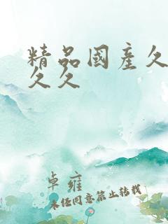 精品国产久久久久久