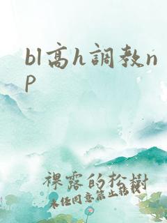 bl高h调教np