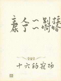 主人～别揉了～尿了～啊哈网站