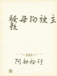 骚母狗被主人调教