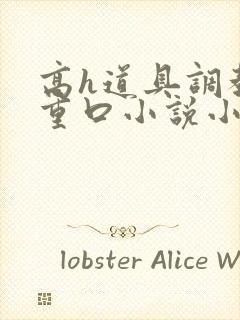 高h道具调教男重口小说小说