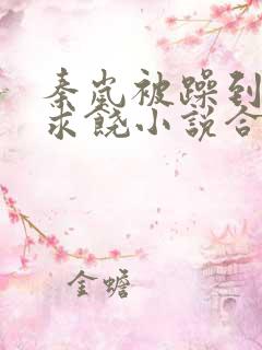 秦岚被躁到高潮求饶小说合集