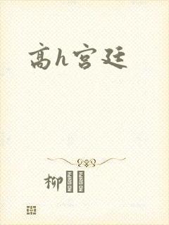 高h宫廷