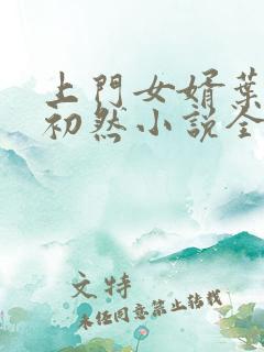 上门女婿叶辰萧初然小说全集