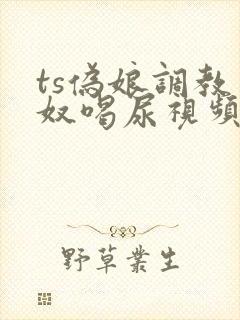 ts伪娘调教男奴喝尿视频vk