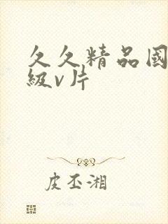 久久精品国产一级v片