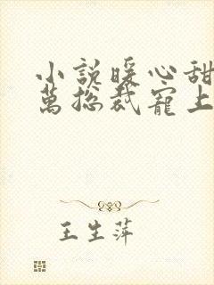 小说暖心甜妻亿万总裁宠上天