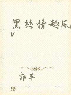 黑丝情趣风骚av