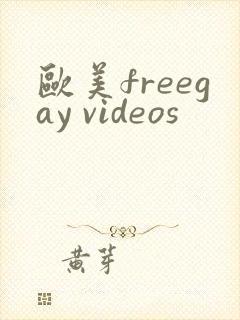 欧美freegay videos