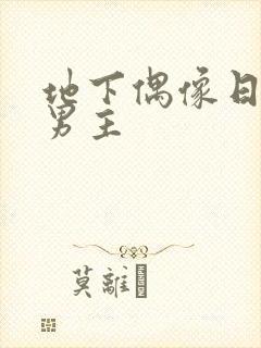 地下偶像日漫双男主