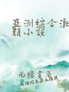 亚洲综合激情另类小说