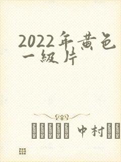 2022年黄色一级片