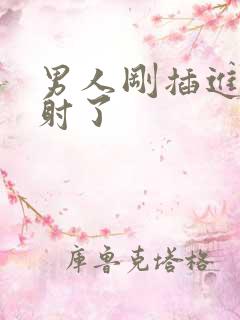 男人刚插进去就射了