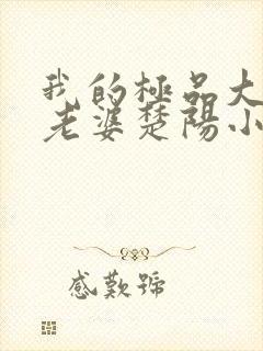 我的极品大小姐老婆楚阳小说阅读