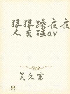 狠狠躁夜夜躁人人爽碰av