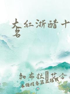 大红浙醋十大排名