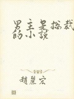 男主是总裁姓盛的小说