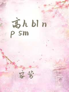 高h bl np sm